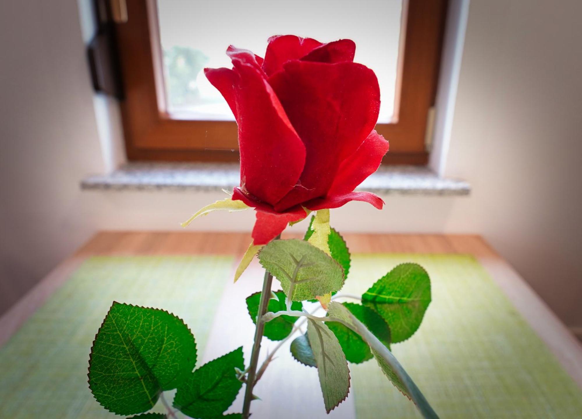 Apartment Mari Bohinj Dış mekan fotoğraf